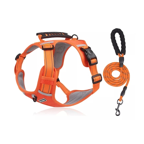 Pechera Arnés De Seguridad Para Perro Naranja Talla L