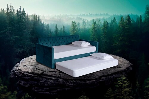 Cama Daybed individual doble Kelaya Makora Olivo No Incluye Colchones