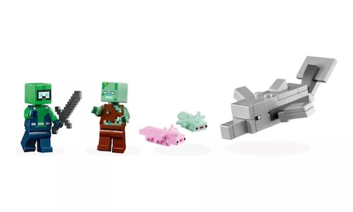 Kit De Construcción Lego Minecraft La Casa-ajolote 21247 3+ Cantidad de piezas 242.