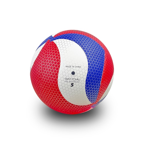 Balon de Volley Ball L´FITTE laminado.