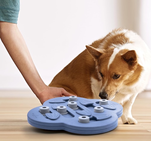 Juguete Interactivo de Premios para Perro, Juguete para Esconder Premios para Perro.