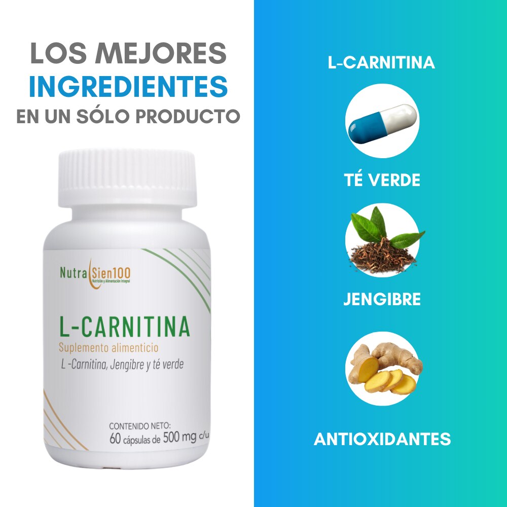 L carnitina cápsulas con jengibre y té verde | Termogénico | Nutrasien100 |  Ingredientes naturales