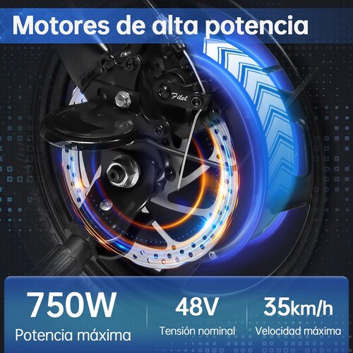 Bicicleta Eléctrica Plegable Honey Whale S6-S Negro.