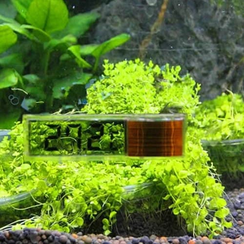 Termómetro medidor electrónico temperatura agua acuario 3D Digital accesorios dorado salado dulce