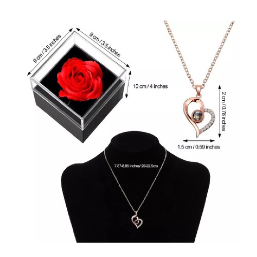 Rosa Roja Eterna Con Joyero Y Collar Te Amo En 100 Idiomas