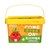 Planta Mini Tomates para Niños.