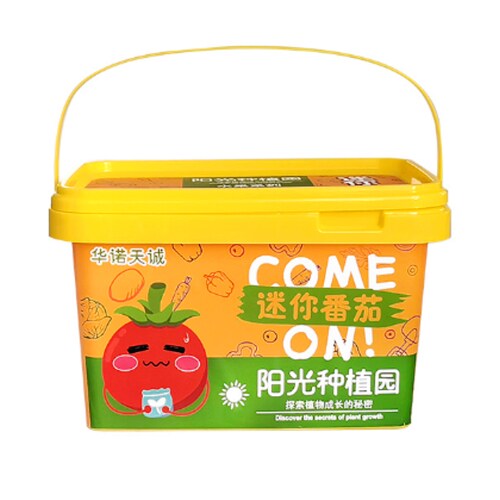 Planta Mini Tomates para Niños.
