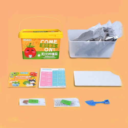 Planta Mini Tomates para Niños.