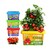 Planta Mini Tomates para Niños.