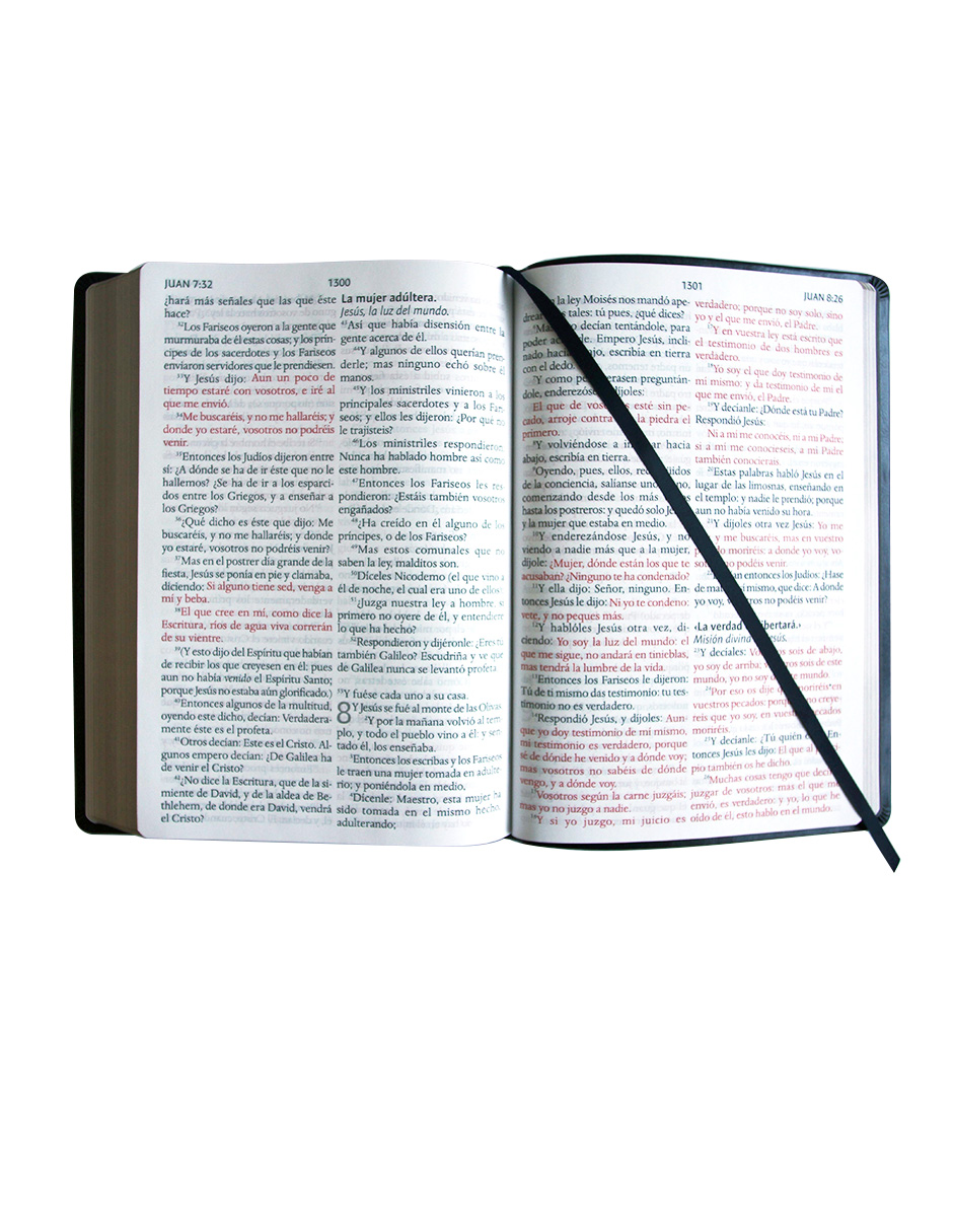 Santa Biblia Reina Valera Color Negra