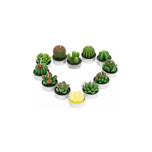  Velas Aromáticas Decorativas Suculentas 12 piezas