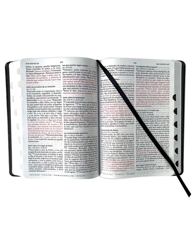 Biblia Reina Valera Con Imagenes Portada León.