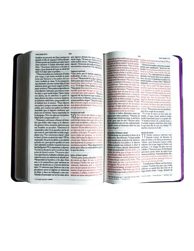 Biblia RVR  Diseño De Portada Faro