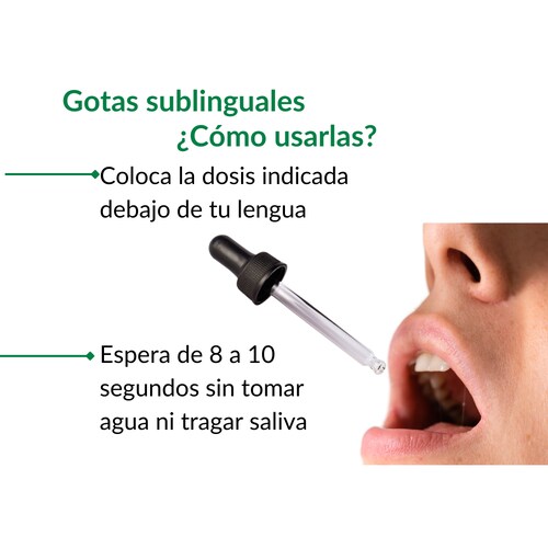 Focus Boost Insta Nutra,Copaiba 100% Natural  Bacopa, Romero, Moringa, Sublingual Concentración 30 ml c/u.