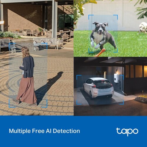 Camara De Vigilancia Tp-Link TAPO C520WS 2K QHD 360 WI-FI Vision Nocturna Exterior
