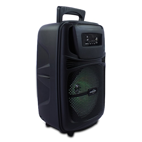 Bocina Tipo Bafle 8 Pulgadas Con Microfonon Alambrico  .