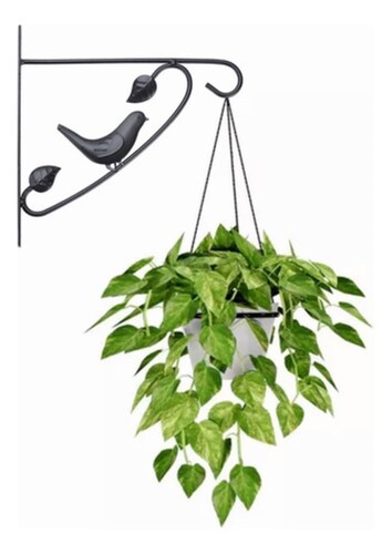Gancho De Pared Para Colgar Plantas Para Maceta NEGRO