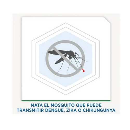 Raid Aerosol Casa y Jardín 400 ml