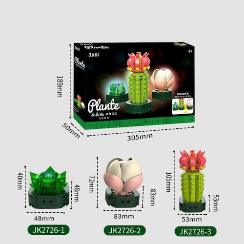 Bloques de Construcción Diseño Planta Cactus.