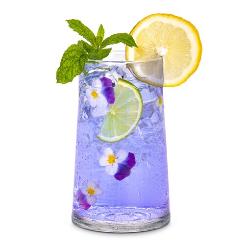 Elixir - Juego de 6 Vasos de Vidrio HB 350 ml