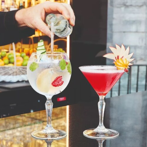 Monti Gin Juego 6 Copas De Vidrio Para Ginebra