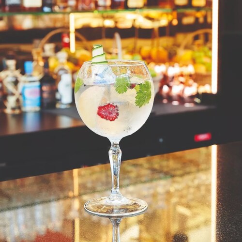 Monti Gin Juego 6 Copas De Vidrio Para Ginebra