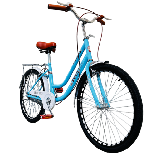 Bicicleta Para Adulto Rodada 24 Vintage Azul.