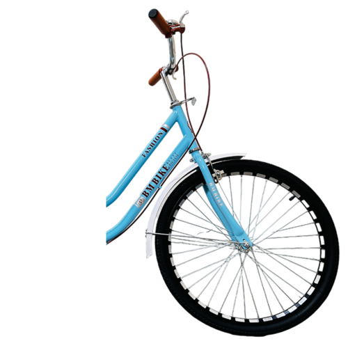 Bicicleta Para Adulto Rodada 24 Vintage Azul.