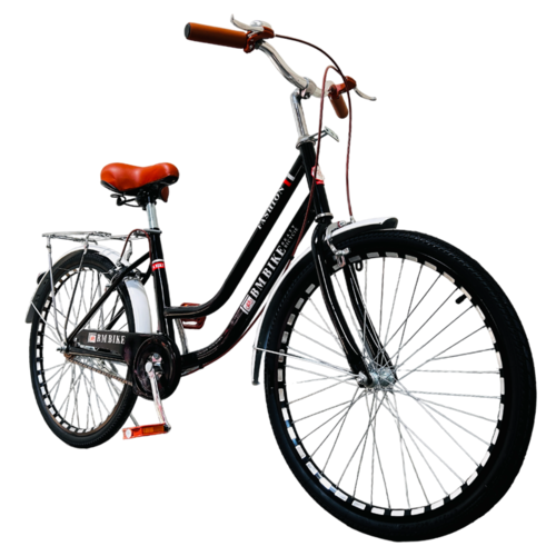 Bicicleta Para Adulto Rodada 24 Vintage Negro.