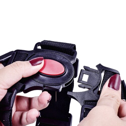 Arnes Seguridad  Bebe Silla Coche 5 Puntos con Protector