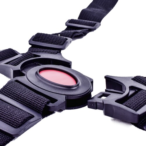 Arnes Seguridad  Bebe Silla Coche 5 Puntos con Protector