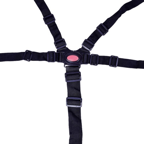 Arnes Seguridad  Bebe Silla Coche 5 Puntos con Protector