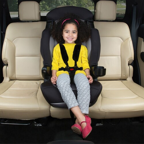 Arnes Seguridad  Bebe Silla Coche 5 Puntos con Protector