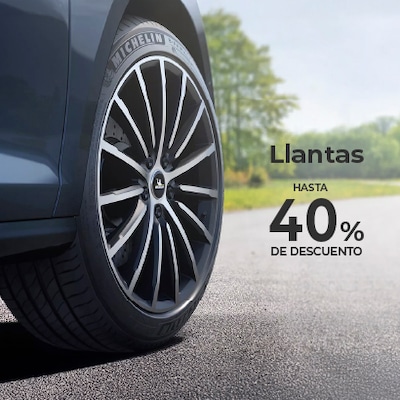 /cat/ferreter%C3%ADa%20y%20jardiner%C3%ADa/autos/llantas%20para%20autos?id=4689