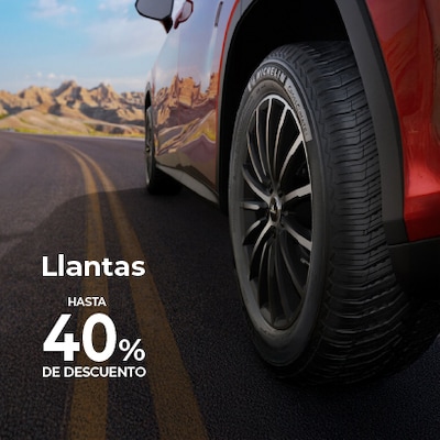 /cat/ferreter%C3%ADa%20y%20jardiner%C3%ADa/autos/llantas?id=4689