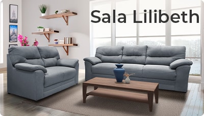 /resultados?query=Lilibeth&hirerarchical_category=muebles+%3E+salas