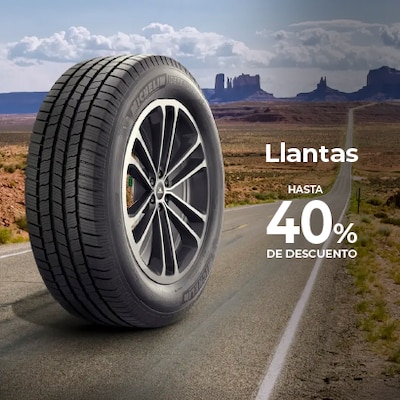 /cat/ferreter%C3%ADa%20y%20jardiner%C3%ADa/autos/llantas%20para%20autos?id=4689