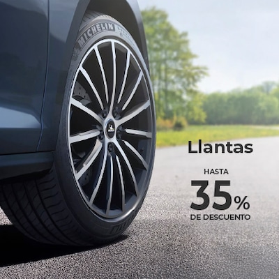 /cat/ferreter%C3%ADa%20y%20jardiner%C3%ADa/autos/llantas%20para%20autos?id=4689