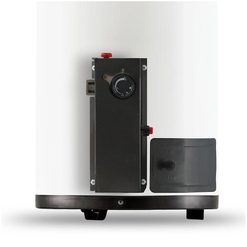 Calentador Boiler Deposito 1 Servicio Gas Lp 38 Litros Bosch 