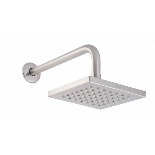 Regadera de cebolla inoxidable brazo y chapetón 4513B.9 DICA