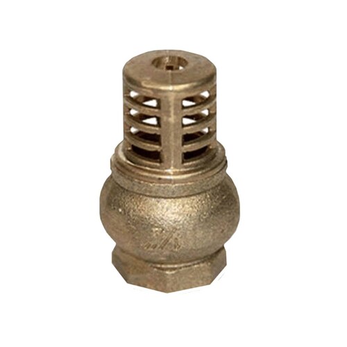 Valvula Pichancha Pie Check 1 2 Pulg 1901  Metalflu