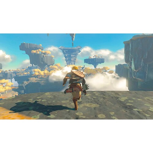 The Legend of Zelda  Tears of the Kingdom Standard Edition