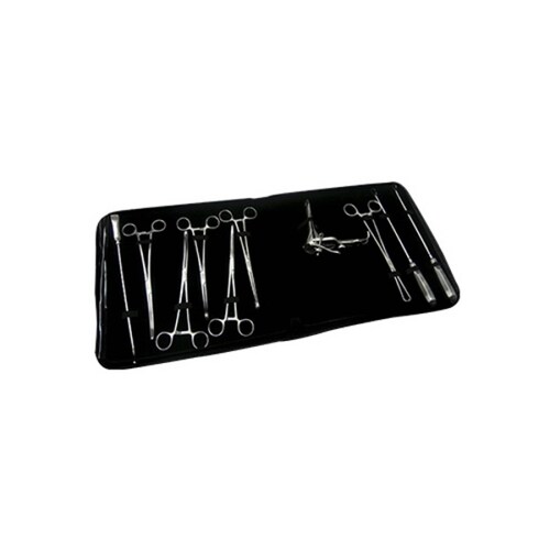 Estuche Equipo Instrumental Legrado 11pzas Hergom Premium