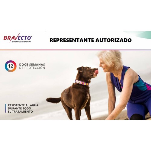 Comprimido Bravecto Antipulga Antigarrapata Perros 20-40kg