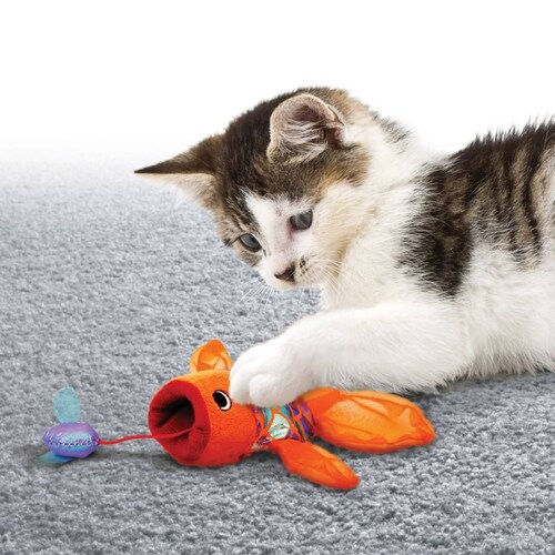 Juguete Pez Crackles Catnip Cascabel Multicolor Para Gato Kong.