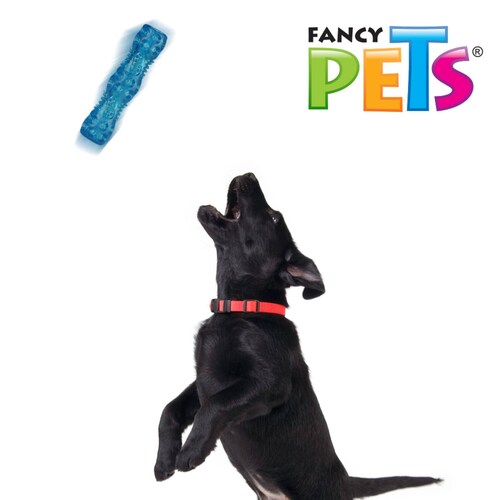 Juguete Vara Flexible P/Perro Chica C/Sonido Fancy Pets