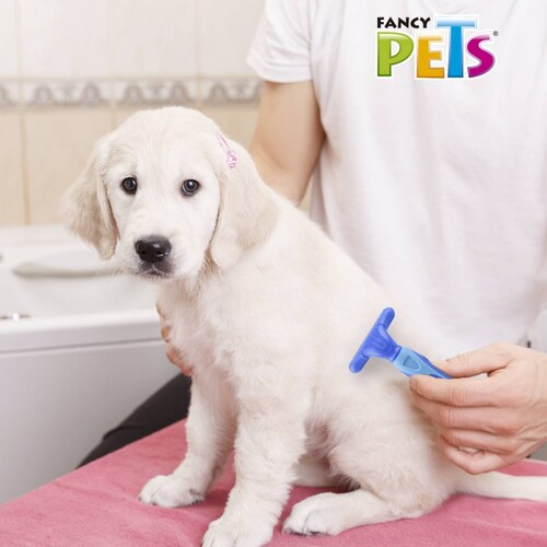 Cardina Ch Ergonómica Dientes Metálicos P/Perro Fancy Pets