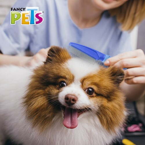 Peine De Metal Pelo Corto Cerdas Giratorias Perro Fancy Pets