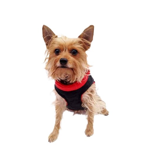 Chaleco Deportivo P/Perro Color Rojo/Negro Talla 5 Pet Pals