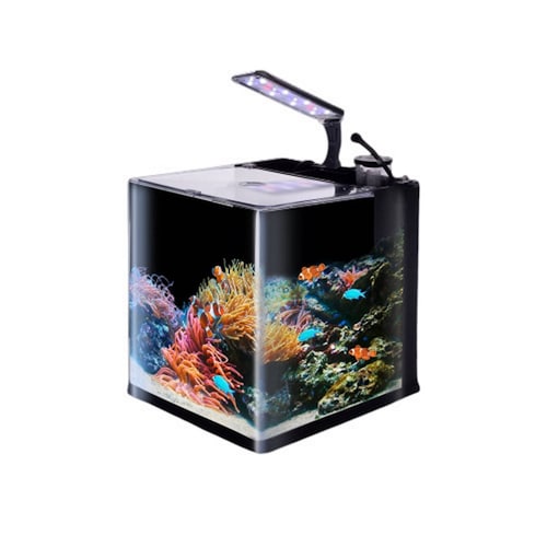 Acuario Nano Reef 18 Lt Lámpara LED Acuario Lomas Hagen